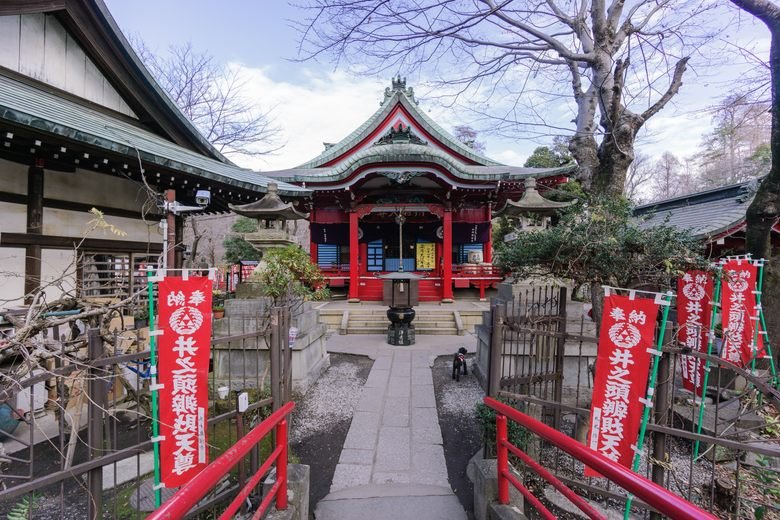 🏞️ 이노카시라 은사공원(이노카시라 온시코엔) 이미지 8